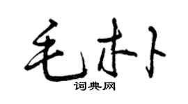 曾庆福毛朴草书个性签名怎么写