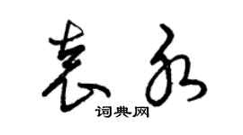 曾庆福袁水草书个性签名怎么写