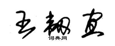 朱锡荣王韧宜草书个性签名怎么写