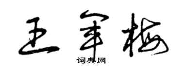 曾庆福王军梅草书个性签名怎么写