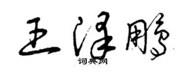 曾庆福王泽鹏草书个性签名怎么写