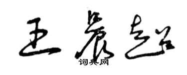 曾庆福王晨超草书个性签名怎么写