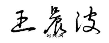 曾庆福王晨波草书个性签名怎么写