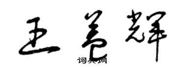 曾庆福王益辉草书个性签名怎么写