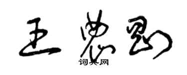 曾庆福王农刚草书个性签名怎么写