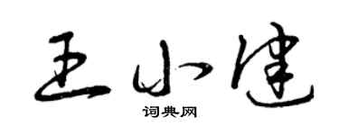 曾庆福王小健草书个性签名怎么写