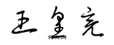 曾庆福王皇亮草书个性签名怎么写