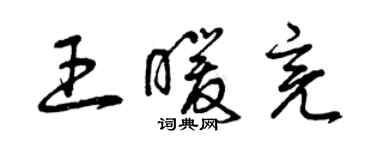 曾庆福王暖亮草书个性签名怎么写
