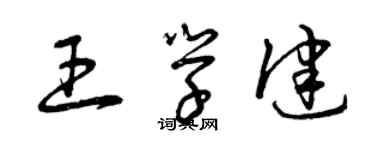 曾庆福王学健草书个性签名怎么写