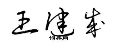 曾庆福王健成草书个性签名怎么写