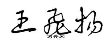 曾庆福王飞扬草书个性签名怎么写