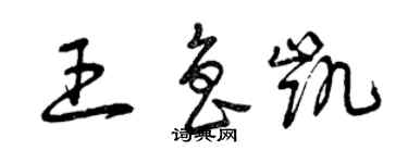 曾庆福王鲁凯草书个性签名怎么写