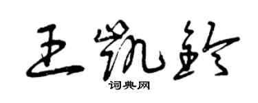 曾庆福王凯铃草书个性签名怎么写