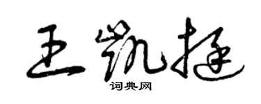 曾庆福王凯挺草书个性签名怎么写