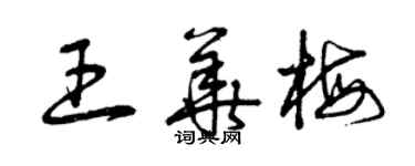 曾庆福王华梅草书个性签名怎么写