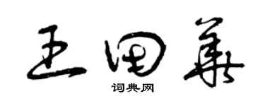曾庆福王田华草书个性签名怎么写