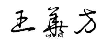 曾庆福王华方草书个性签名怎么写