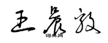 曾庆福王晨毅草书个性签名怎么写