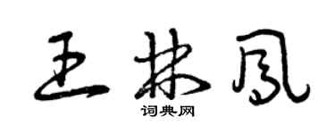曾庆福王林凤草书个性签名怎么写