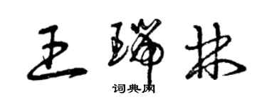 曾庆福王瑞林草书个性签名怎么写