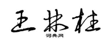 曾庆福王林柱草书个性签名怎么写