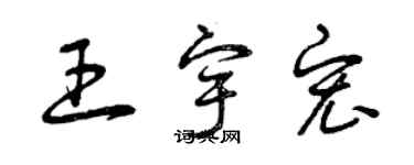 曾庆福王宇宏草书个性签名怎么写