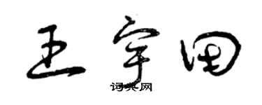 曾庆福王宇田草书个性签名怎么写