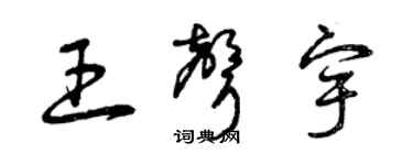 曾庆福王声宇草书个性签名怎么写