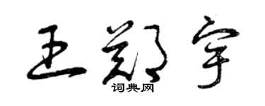 曾庆福王郑宇草书个性签名怎么写