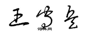 曾庆福王守兵草书个性签名怎么写