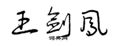 曾庆福王剑凤草书个性签名怎么写