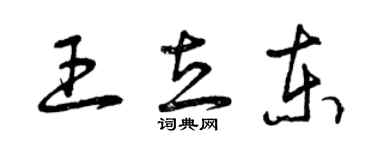 曾庆福王立东草书个性签名怎么写