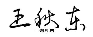 曾庆福王秋东草书个性签名怎么写