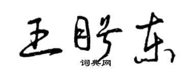 曾庆福王盼东草书个性签名怎么写