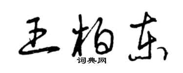 曾庆福王柏东草书个性签名怎么写