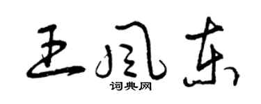 曾庆福王风东草书个性签名怎么写