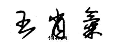 朱锡荣王肖气草书个性签名怎么写