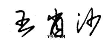 朱锡荣王肖沙草书个性签名怎么写