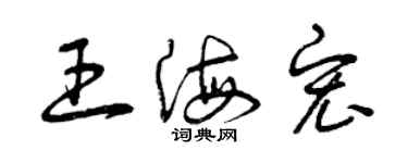 曾庆福王海宏草书个性签名怎么写