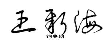 曾庆福王新海草书个性签名怎么写