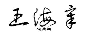 曾庆福王海章草书个性签名怎么写