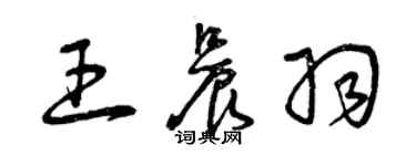 曾庆福王晨羽草书个性签名怎么写