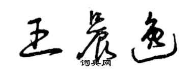 曾庆福王晨逸草书个性签名怎么写