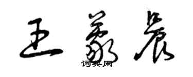 曾庆福王蒙晨草书个性签名怎么写