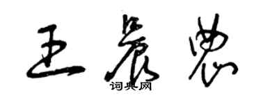 曾庆福王晨农草书个性签名怎么写