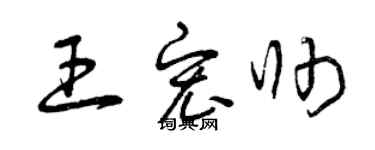 曾庆福王宏帅草书个性签名怎么写