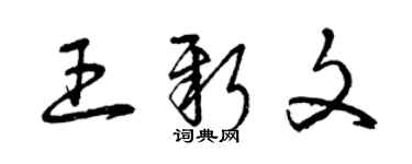 曾庆福王新文草书个性签名怎么写
