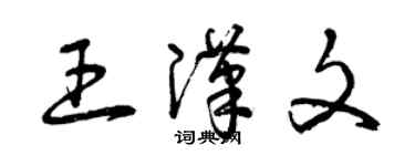 曾庆福王汉文草书个性签名怎么写