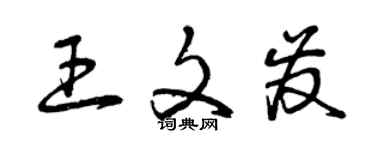 曾庆福王文发草书个性签名怎么写