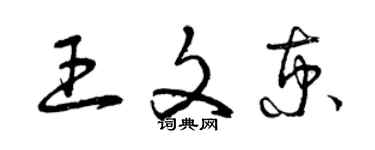 曾庆福王文京草书个性签名怎么写